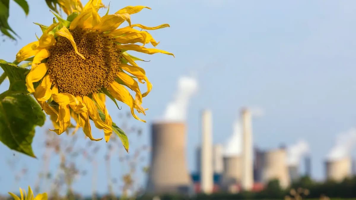 人类正在改变自然的气味：污染如何干扰昆虫、植物和授粉
