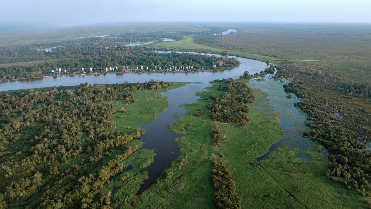 自然系统也在“排放”：气候模型漏掉的森林、湿地和冻土反馈