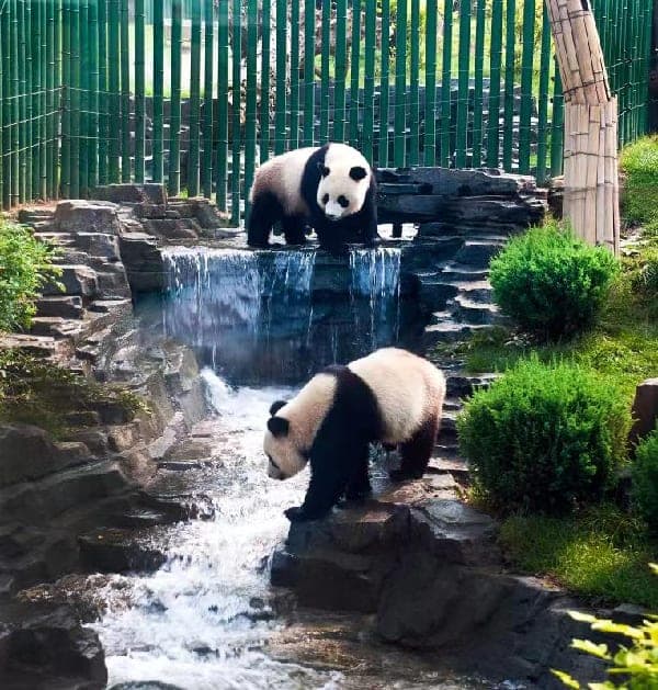 大连森林动物园代表动物图