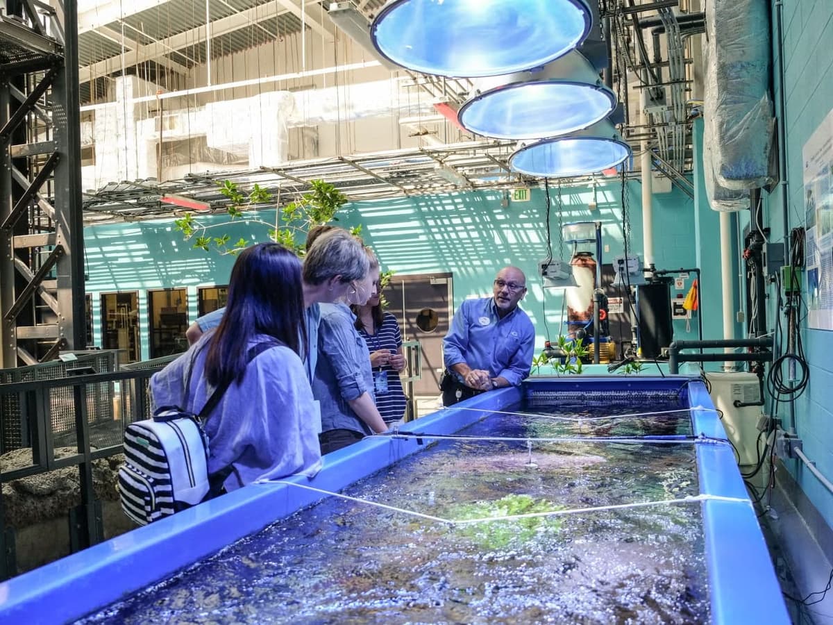 乔治亚水族馆代表动物图