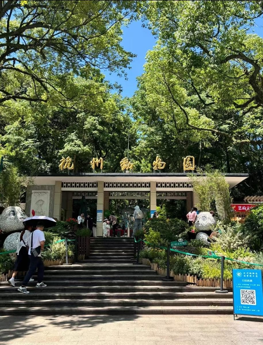杭州动物园现场图片