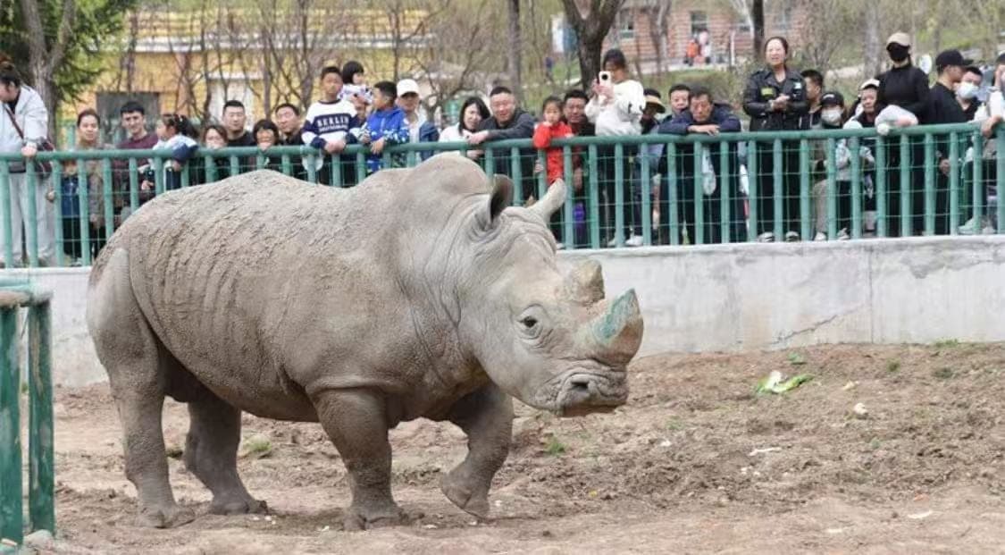 哈尔滨北方森林动物园代表动物图