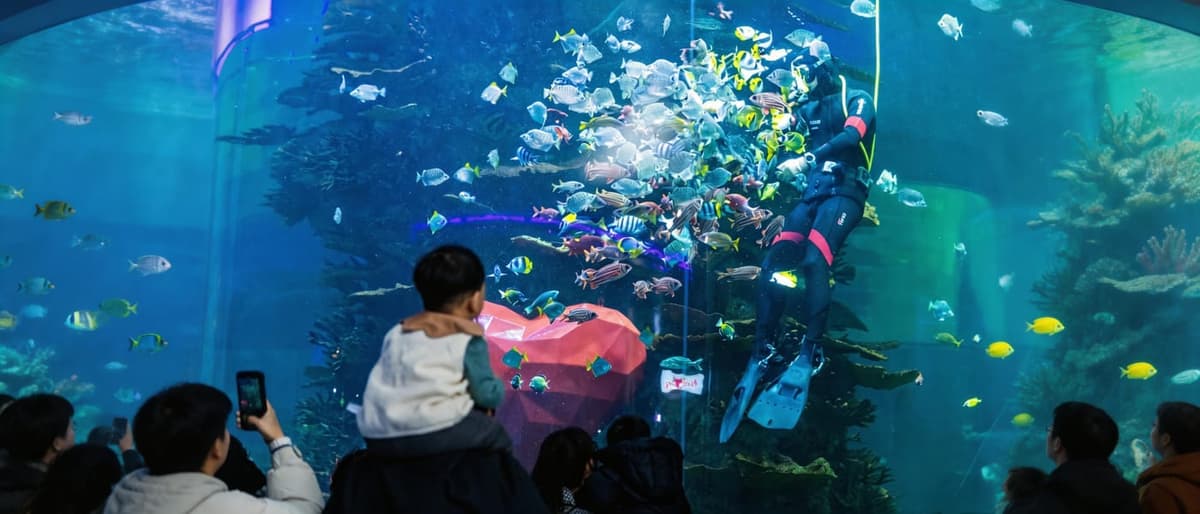 青岛海底世界代表动物图