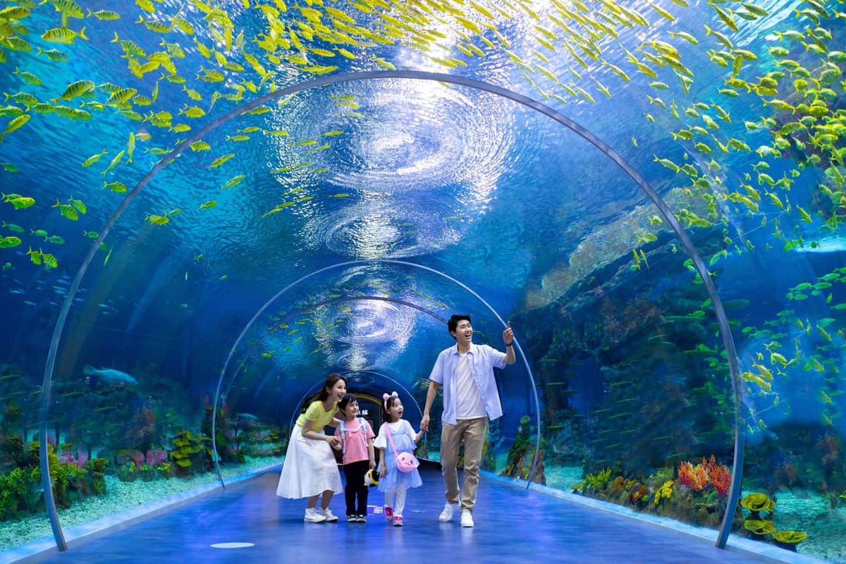 上海海昌海洋公园代表动物图