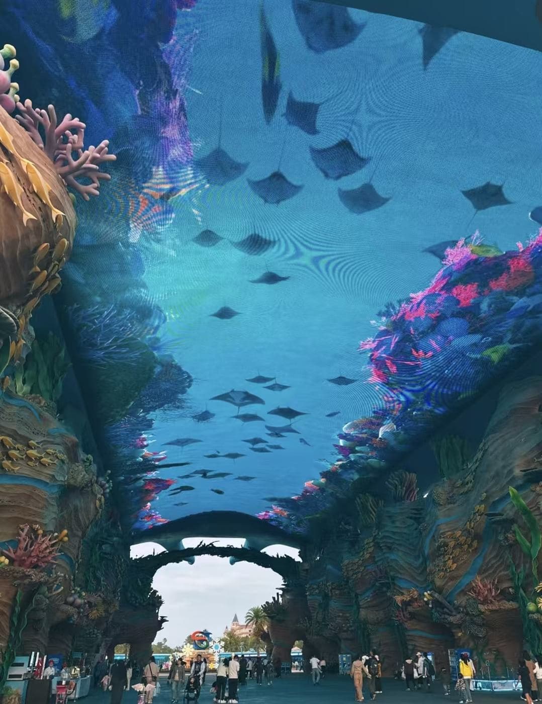 珠海长隆海洋王国代表动物图