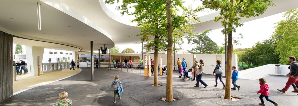 Zoo Zürich现场图片