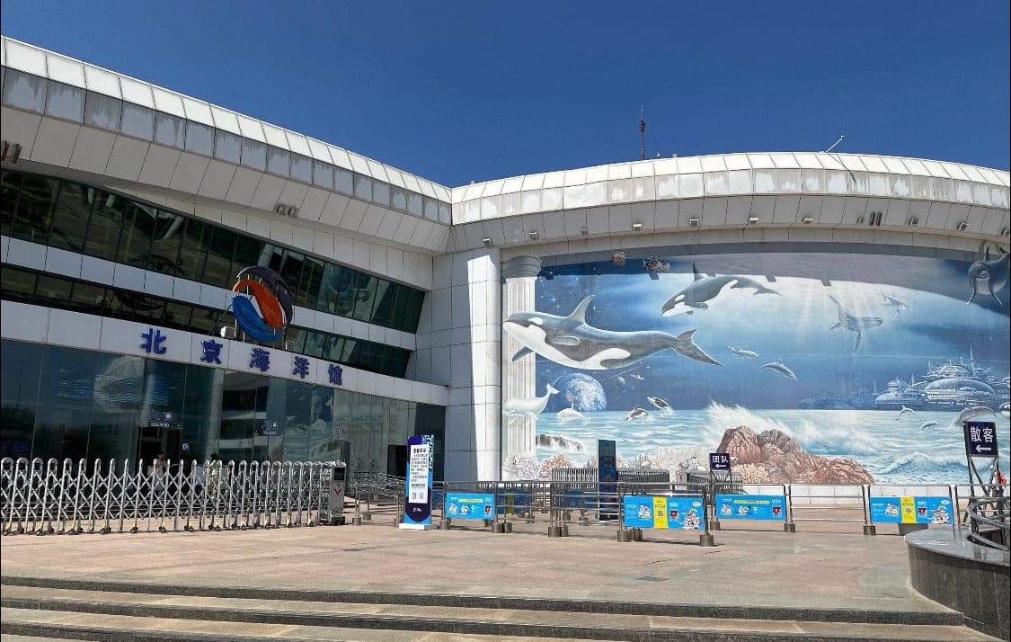 北京海洋馆现场图片