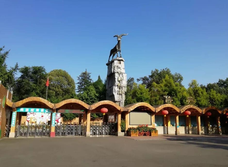 成都动物园现场图片