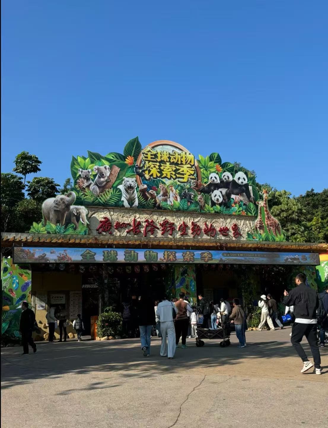 广州番禺长隆野生动物世界现场图片
