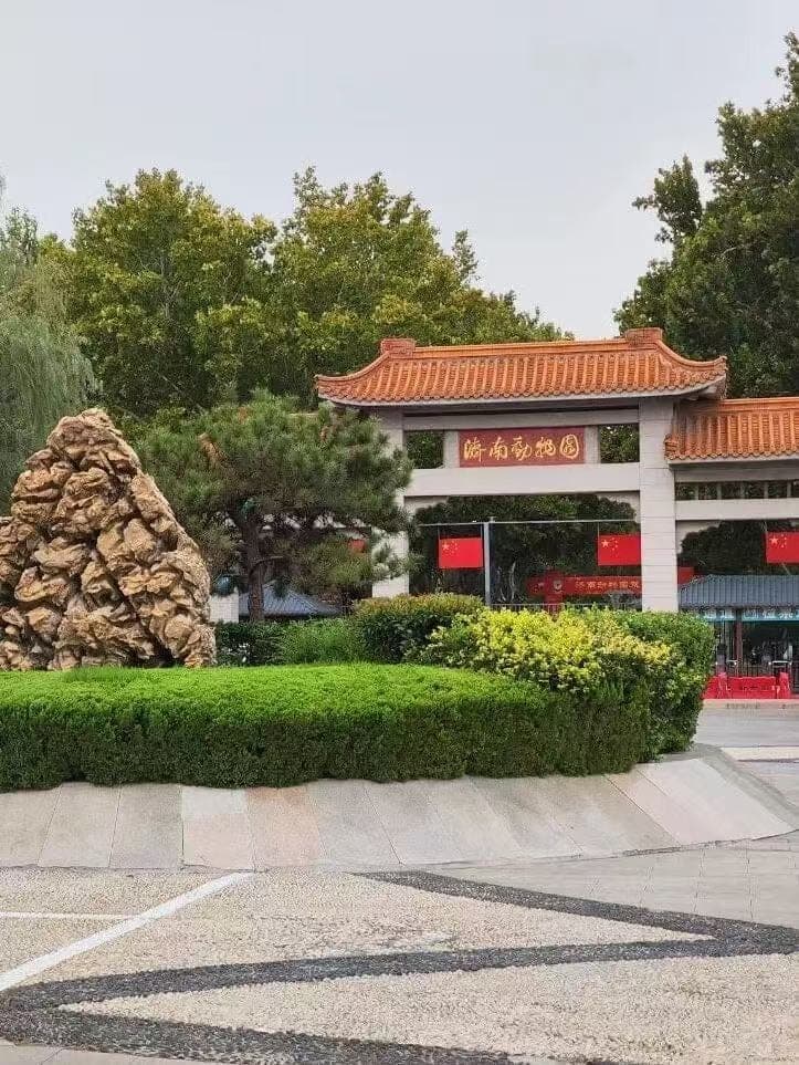 济南动物园现场图片