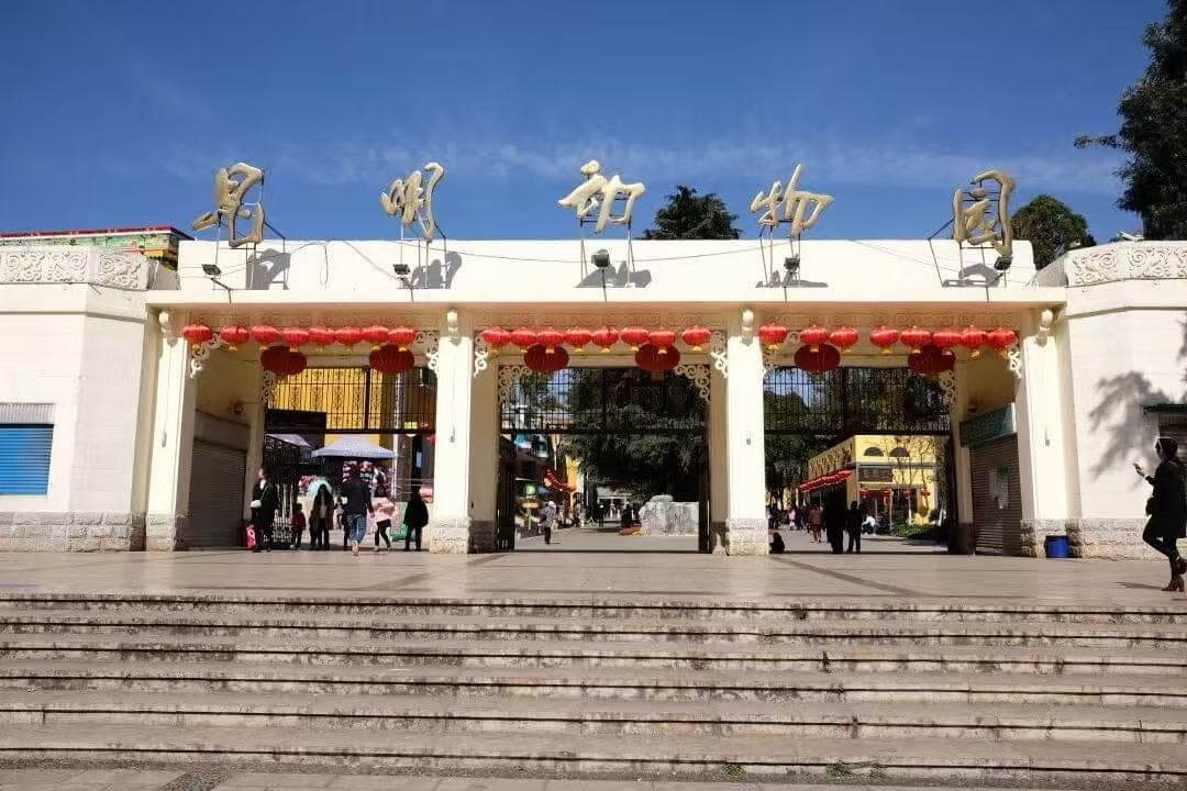 昆明动物园现场图片