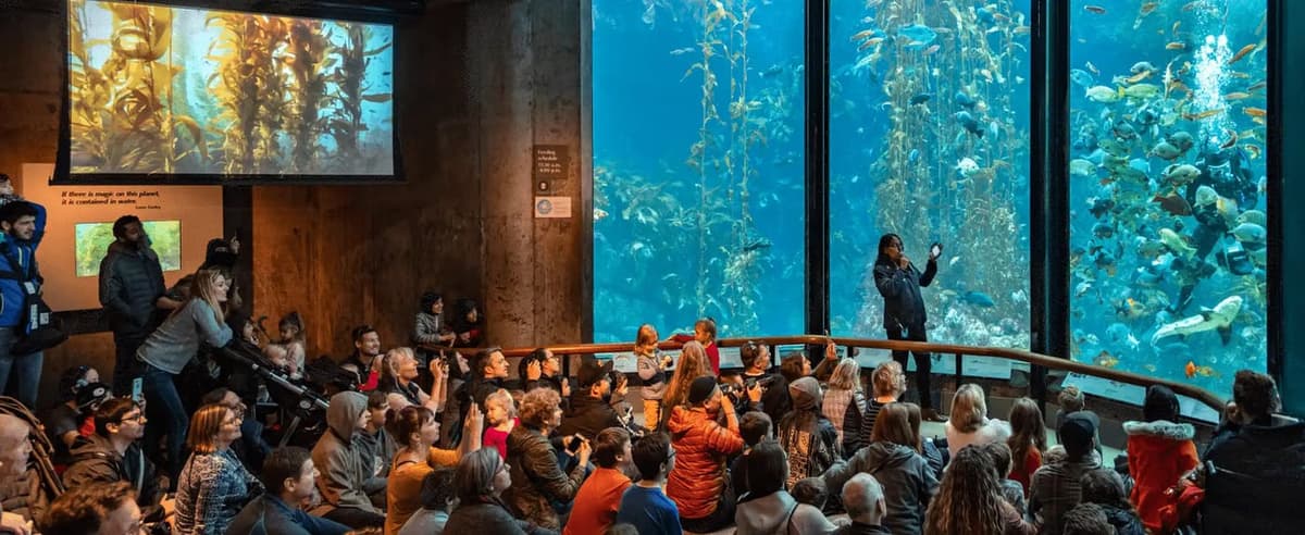 蒙特雷湾水族馆代表动物图