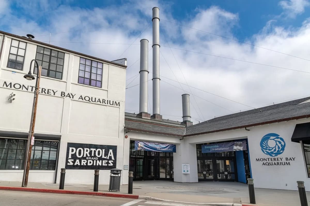 Monterey Bay Aquarium现场图片