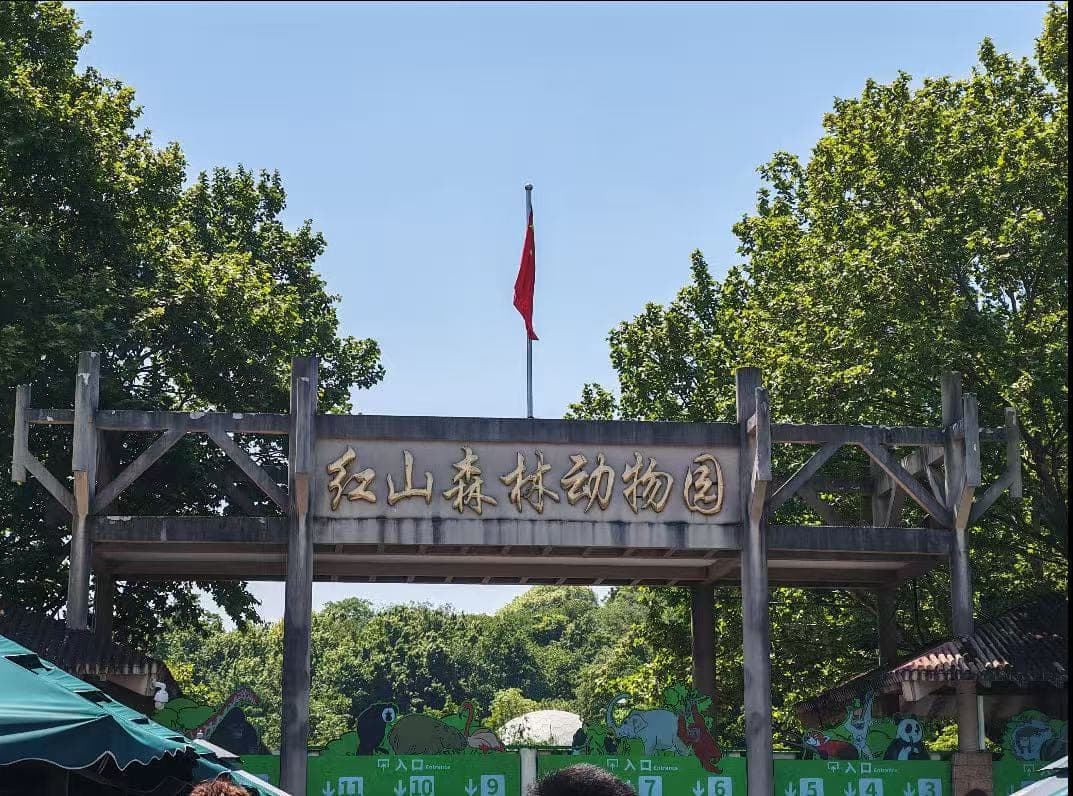 南京红山森林动物园现场图片