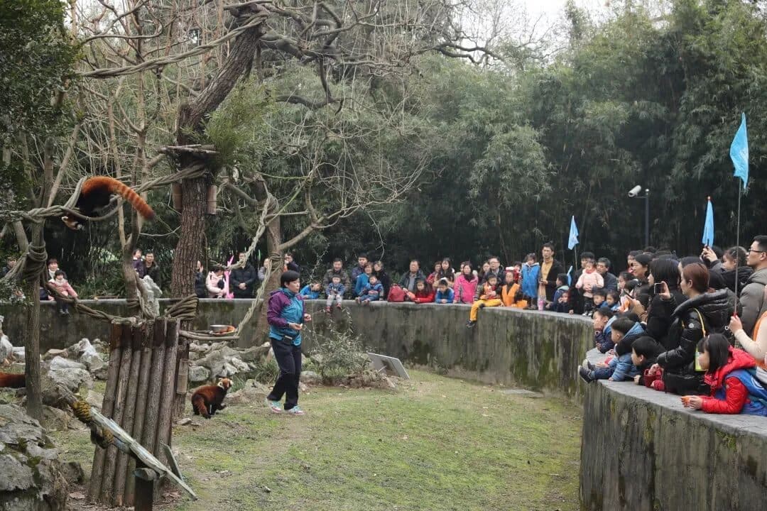 上海动物园园区环境图
