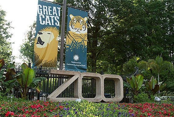 Smithsonian National Zoo现场图片