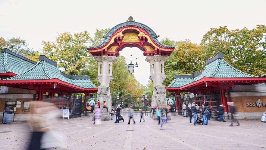 Zoo Berlin现场图片
