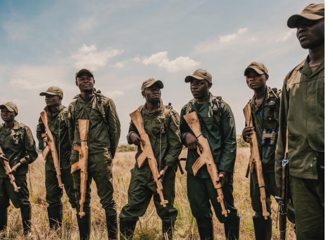 刚果（金）保护区遭遇致命袭击：平民生态专家的最暗时刻