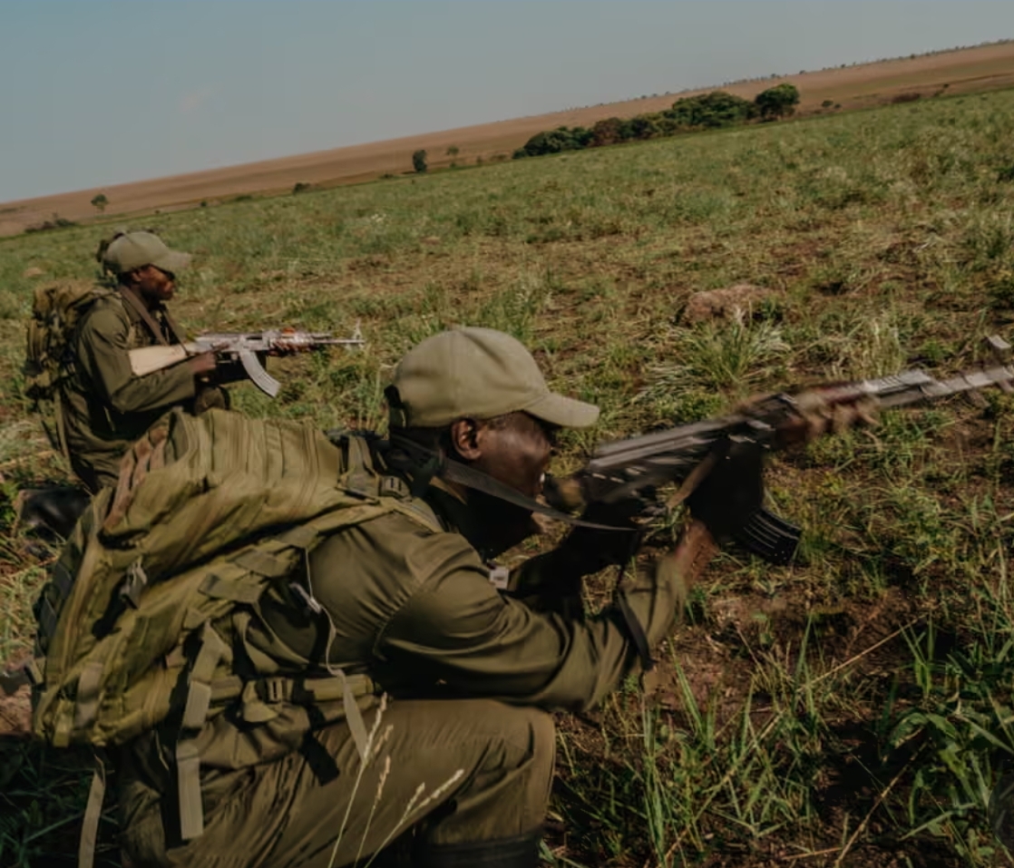 刚果（金）保护区遭遇致命袭击：平民生态专家的最暗时刻 正文图片 1