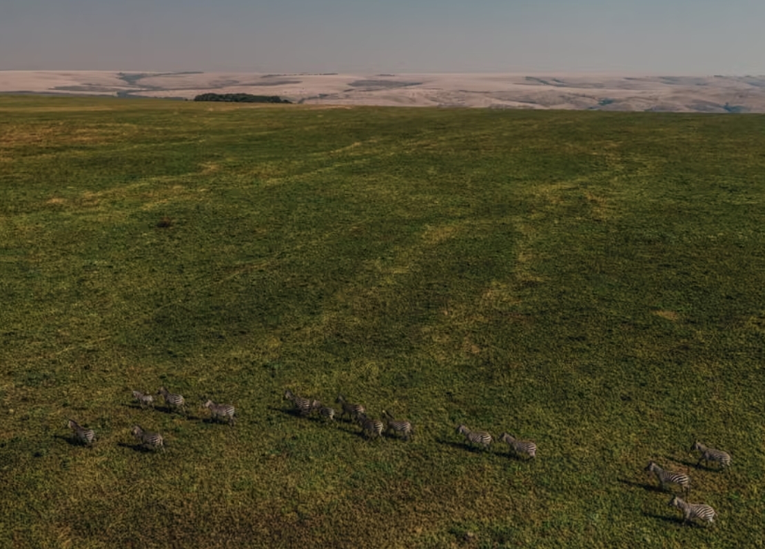 刚果（金）保护区遭遇致命袭击：平民生态专家的最暗时刻 正文图片 3