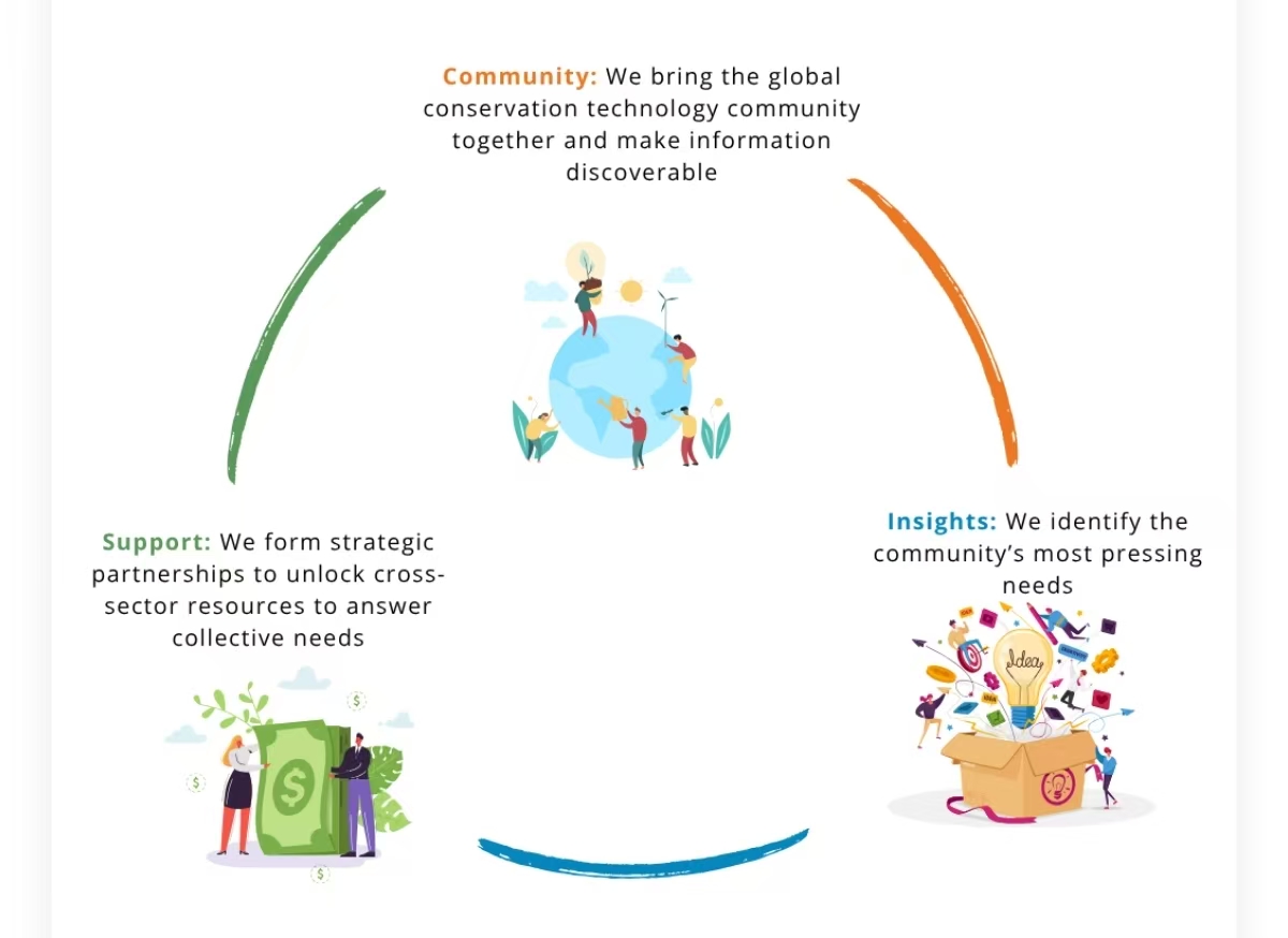 Addax AI：免费开源模型如何改变红外相机图像识别 正文图片 3
