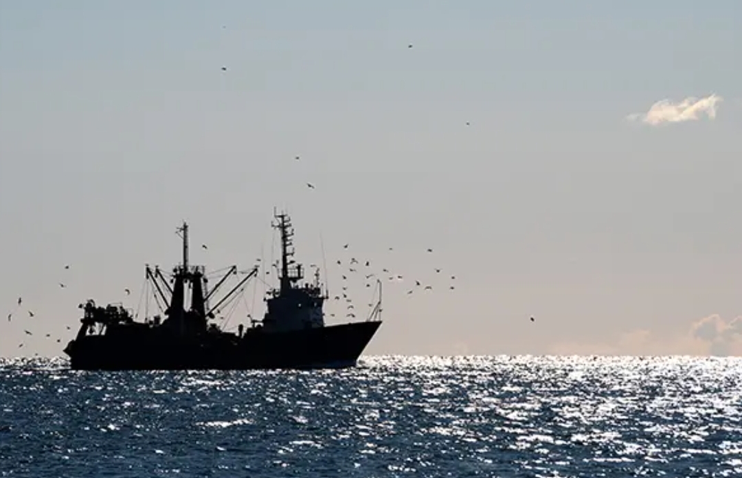 卫星之眼：追踪抹除AIS信号的全球海洋“幽灵渔船” 正文图片 3