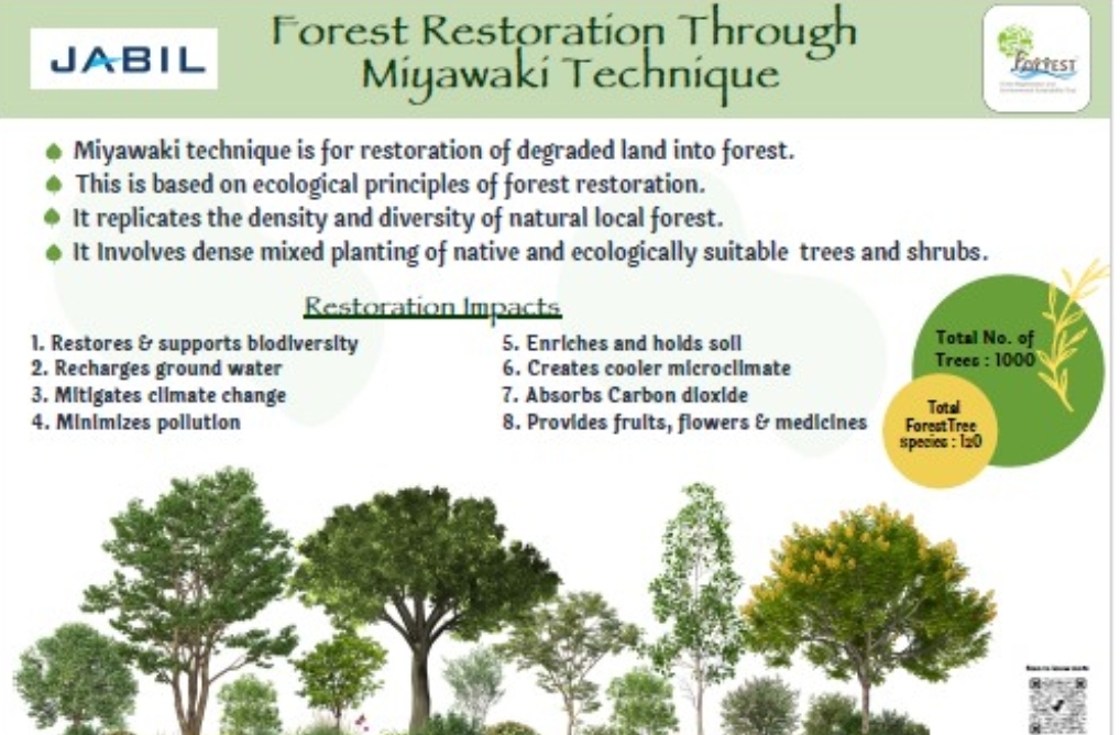 如何真正“种”出一个森林：打破单一树种造林的生态学困境