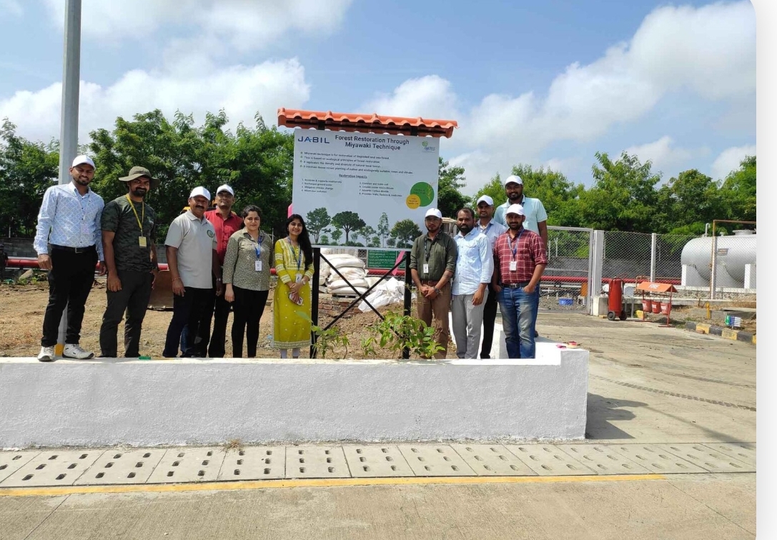 如何真正“种”出一个森林：打破单一树种造林的生态学困境 配图 1