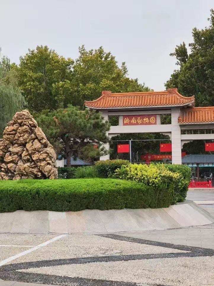 济南动物园现场图片