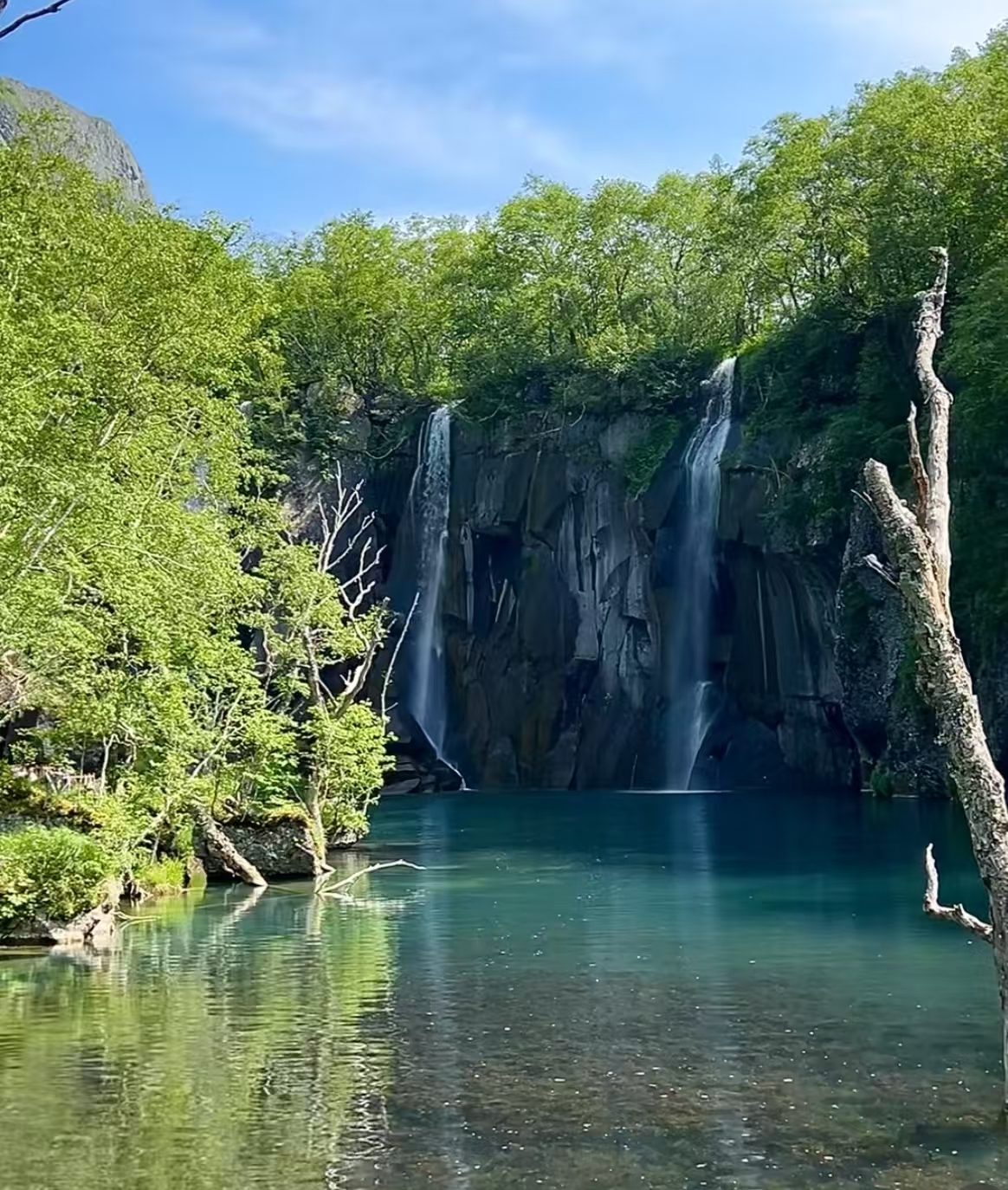 高山湖泊与针叶林生境