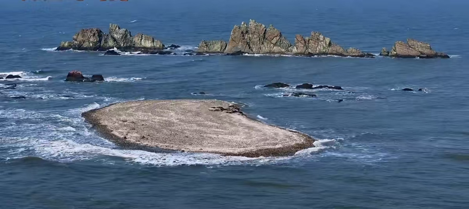 大连斑海豹国家级自然保护区