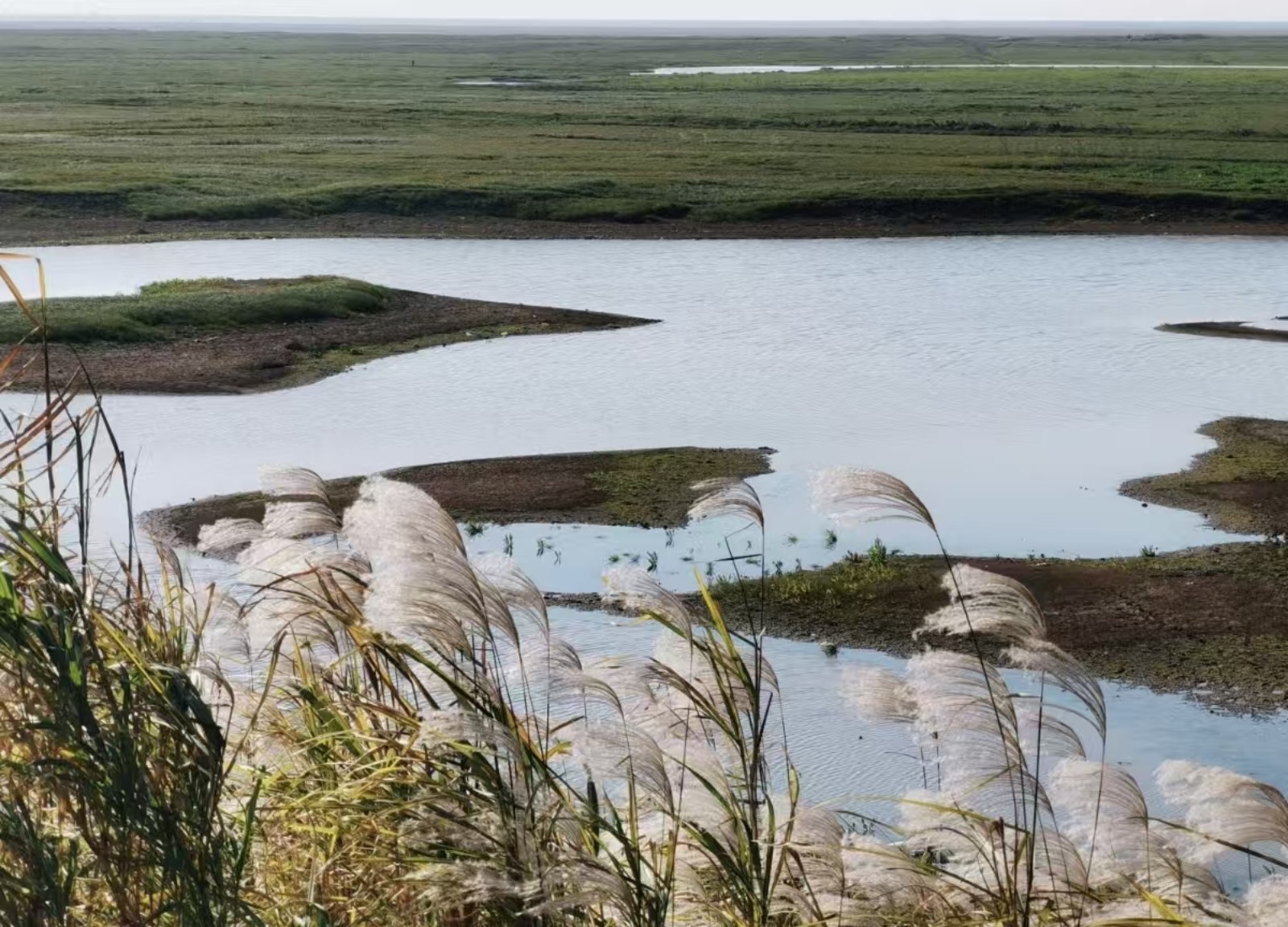 东洞庭湖国家级自然保护区