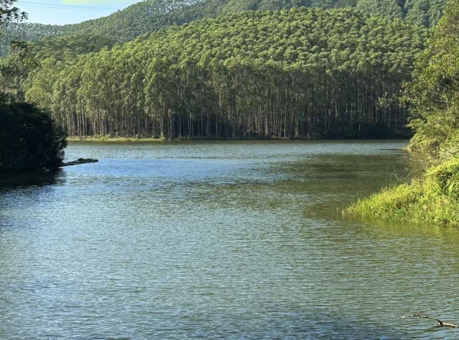 合浦儒艮国家级自然保护区