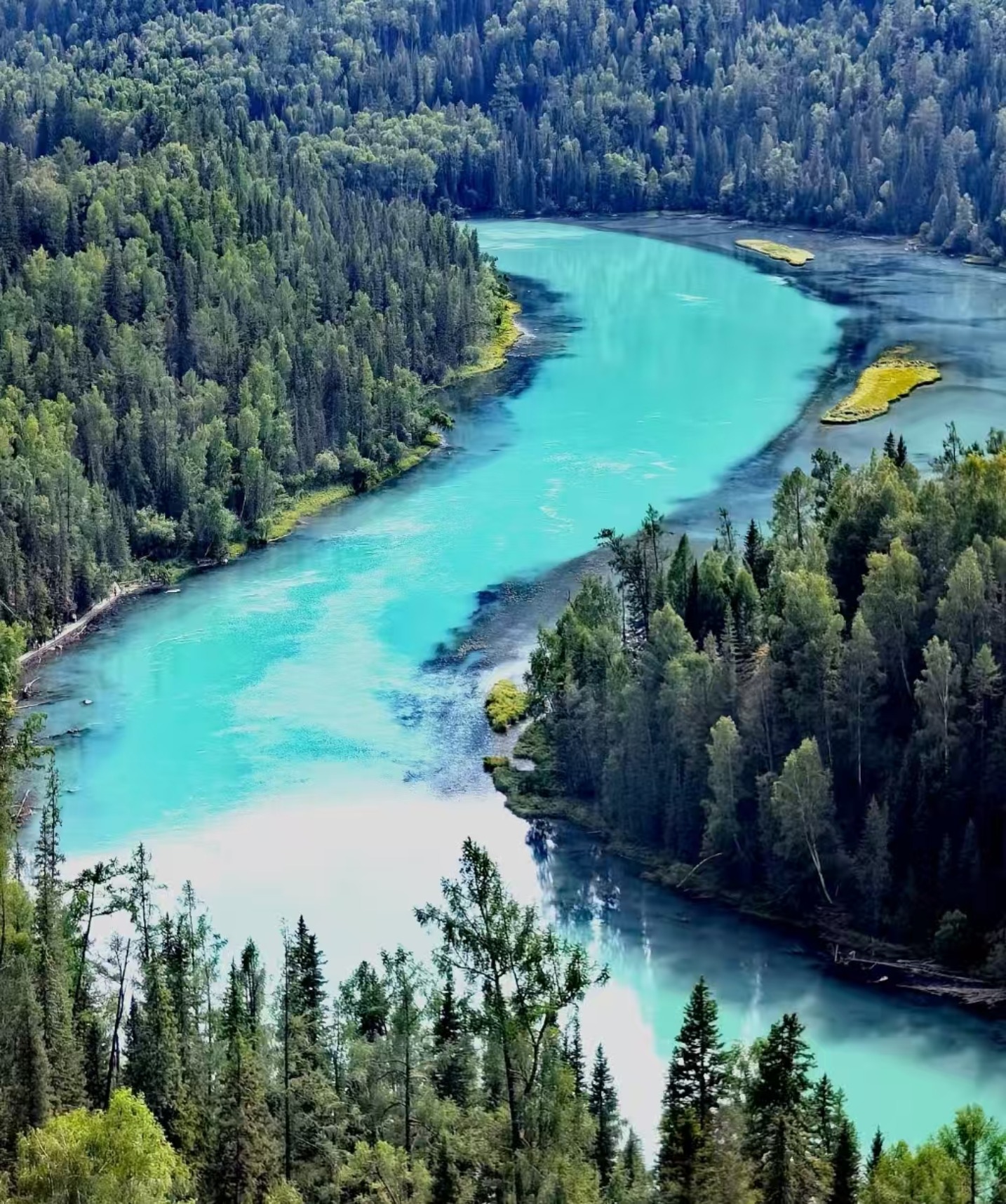 喀纳斯国家级自然保护区