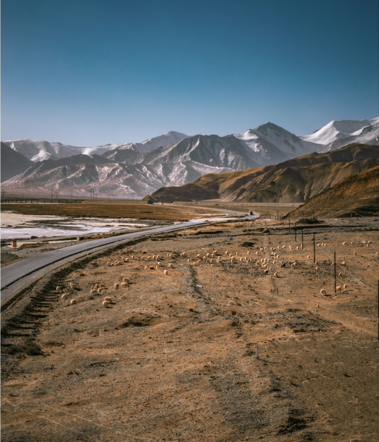 可可西里国家级自然保护区