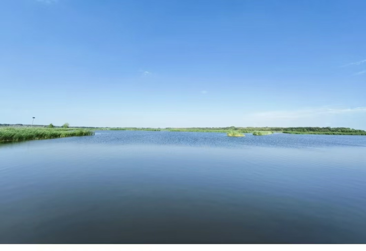 莫莫格国家级自然保护区