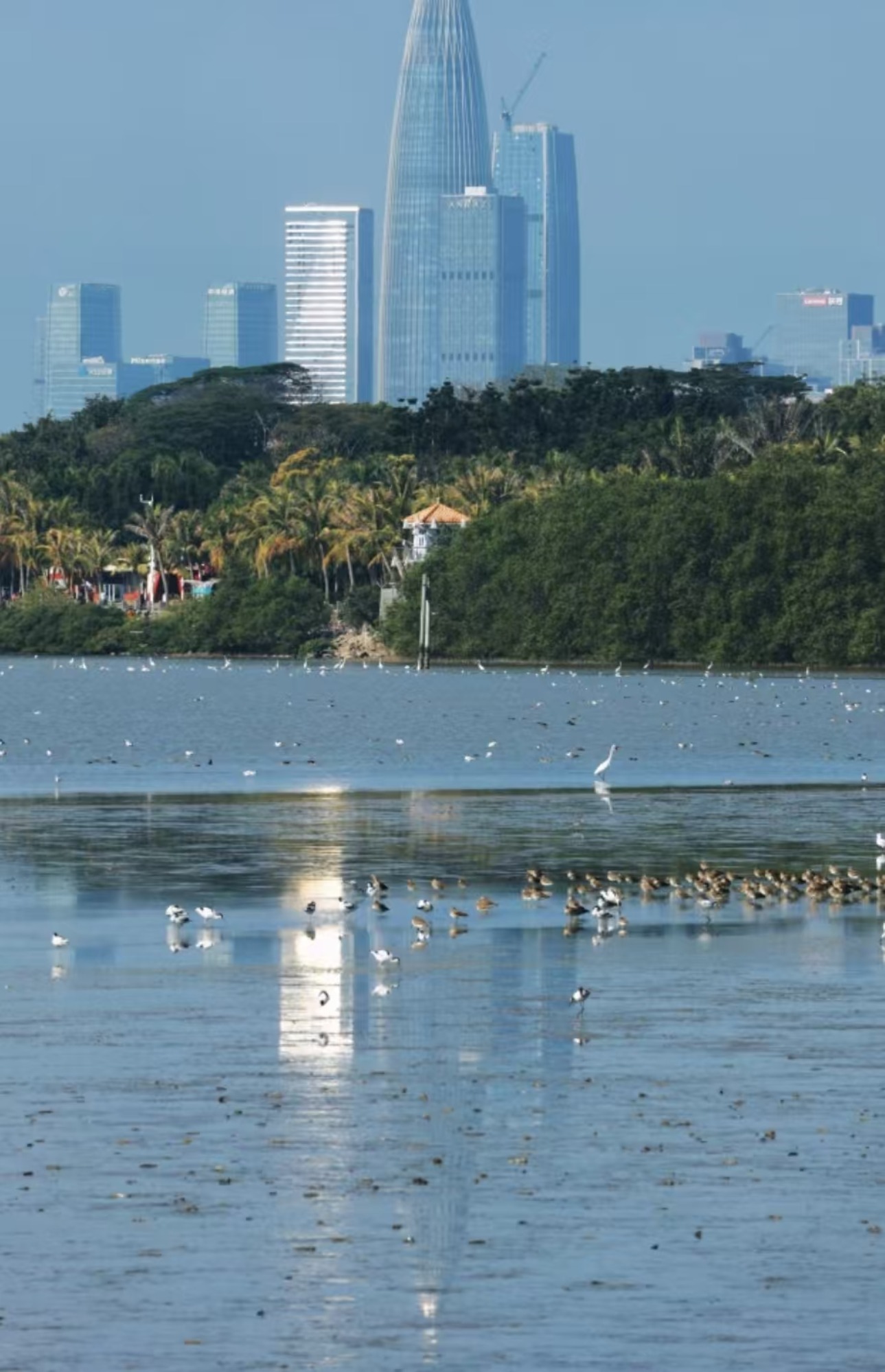 内伶仃岛—福田国家级自然保护区