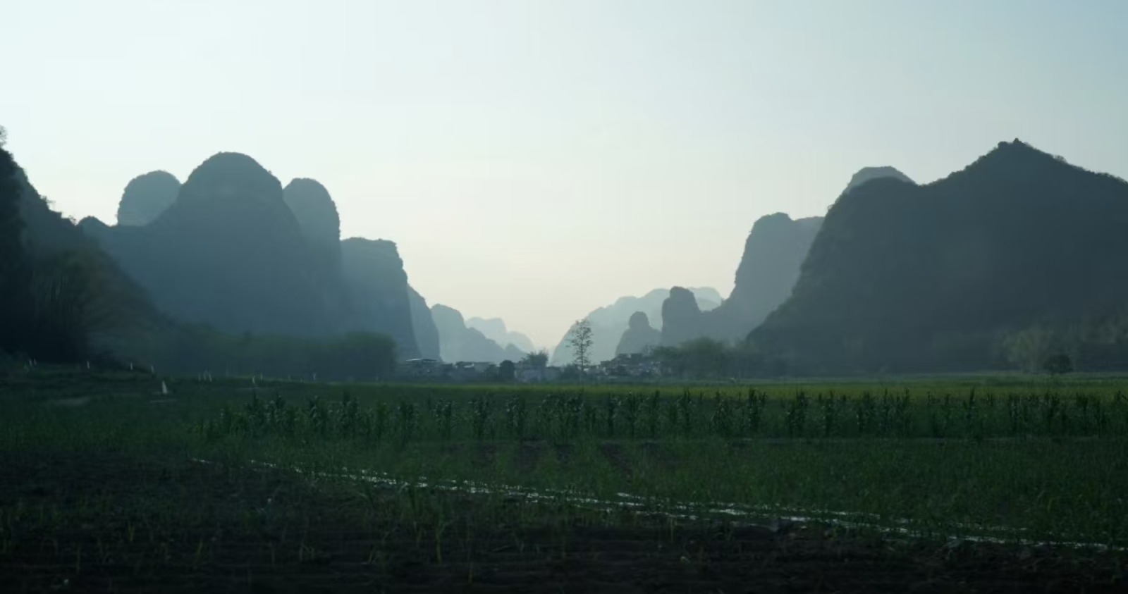 弄岗国家级自然保护区