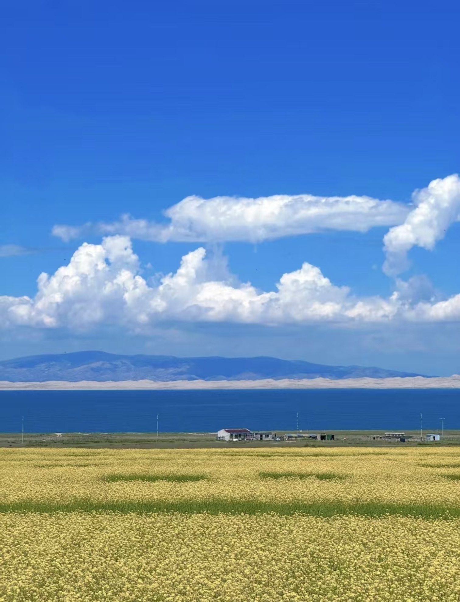 青海湖国家级自然保护区