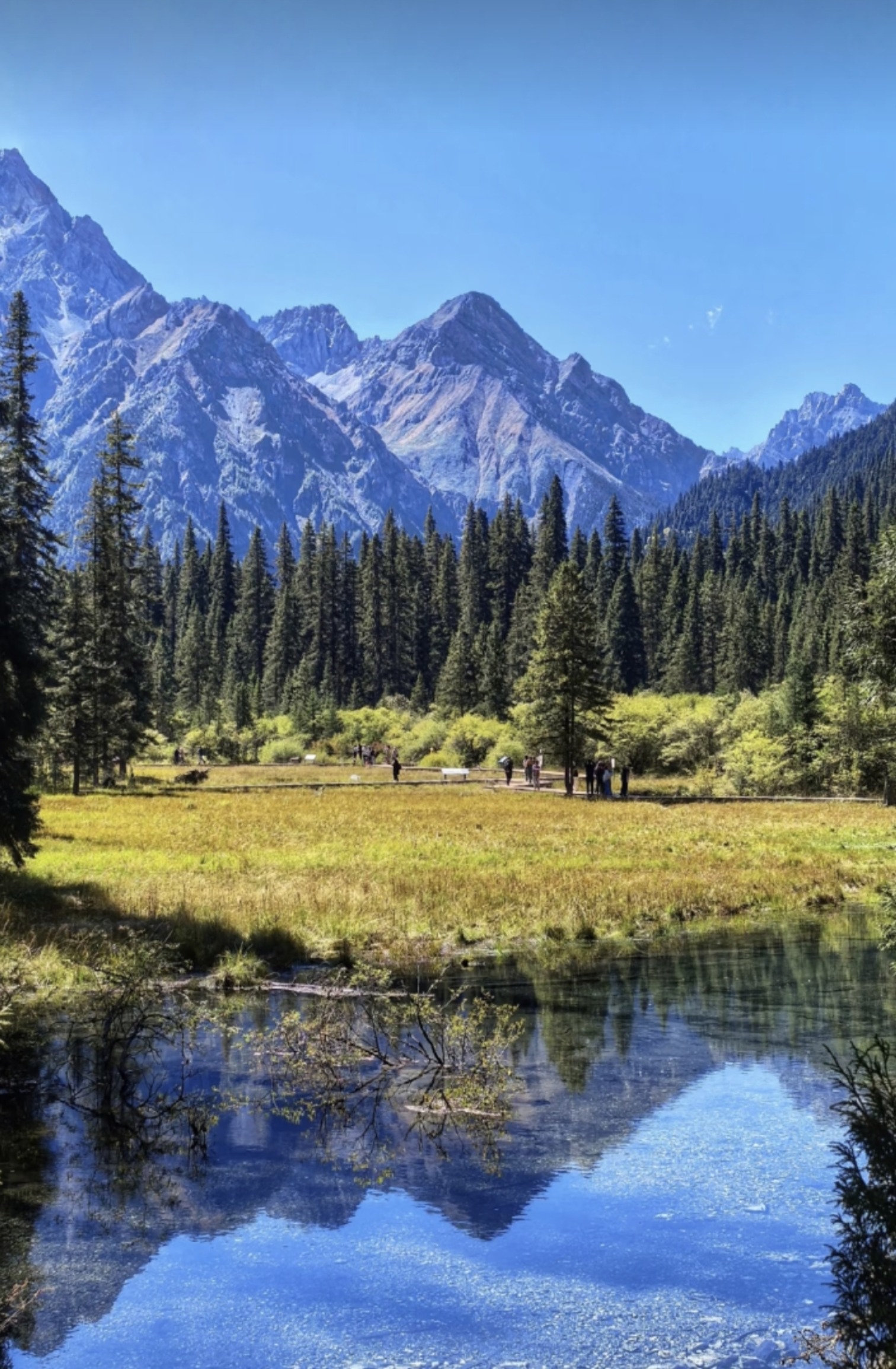 王朗国家级自然保护区