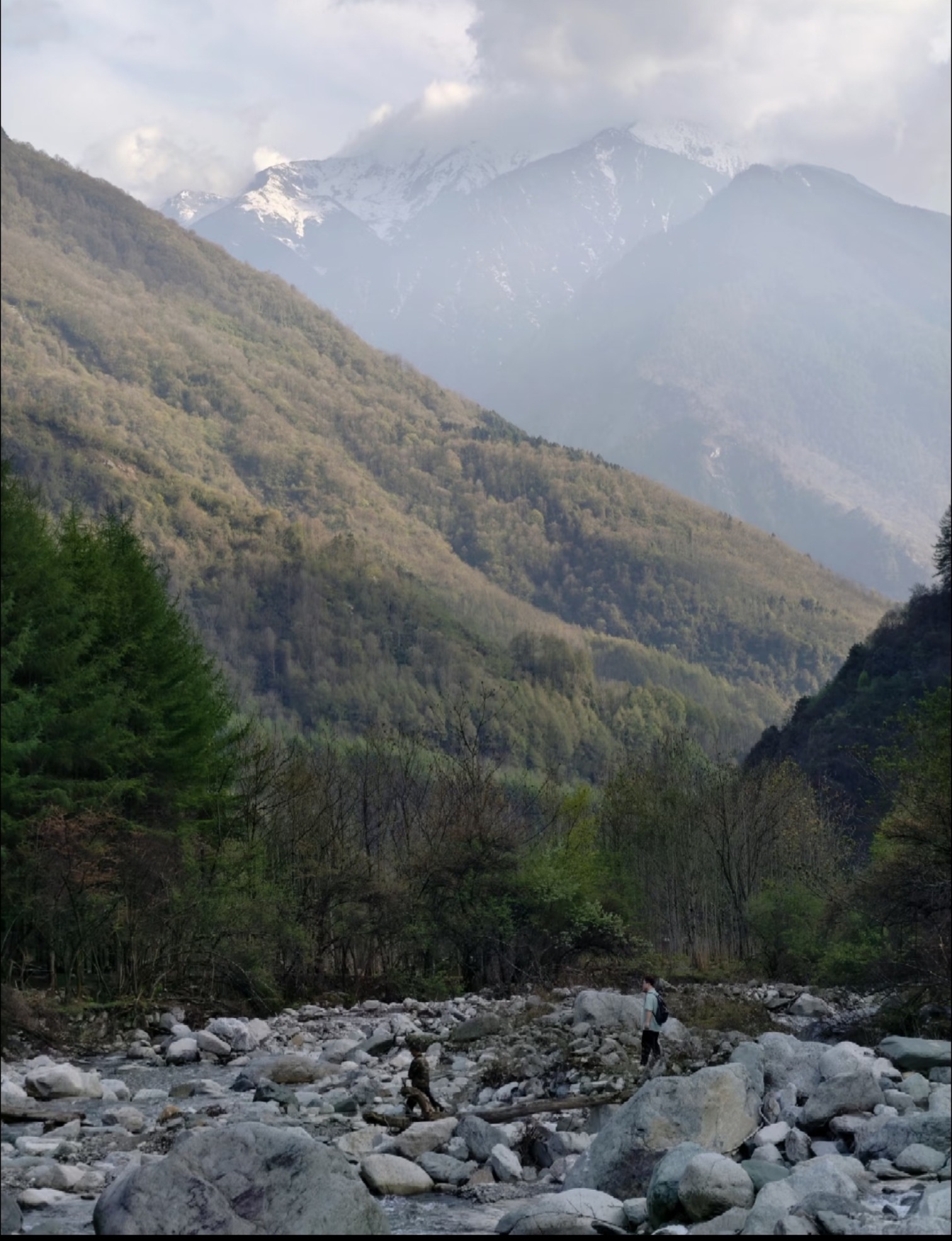 卧龙国家级自然保护区